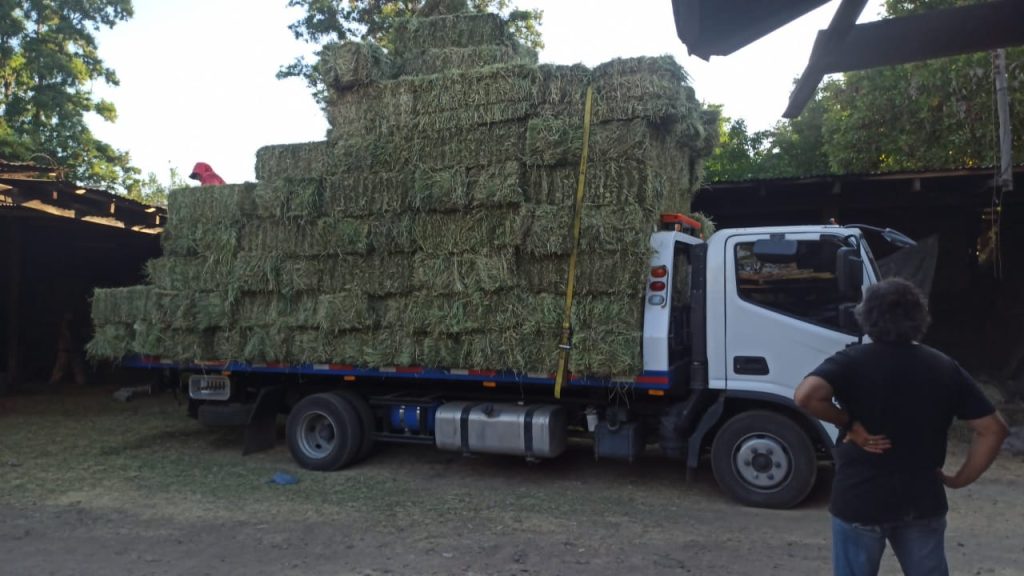 Grúa Los Vilos, illapel, pichidangui, fletes, traslados - Trans Ávila